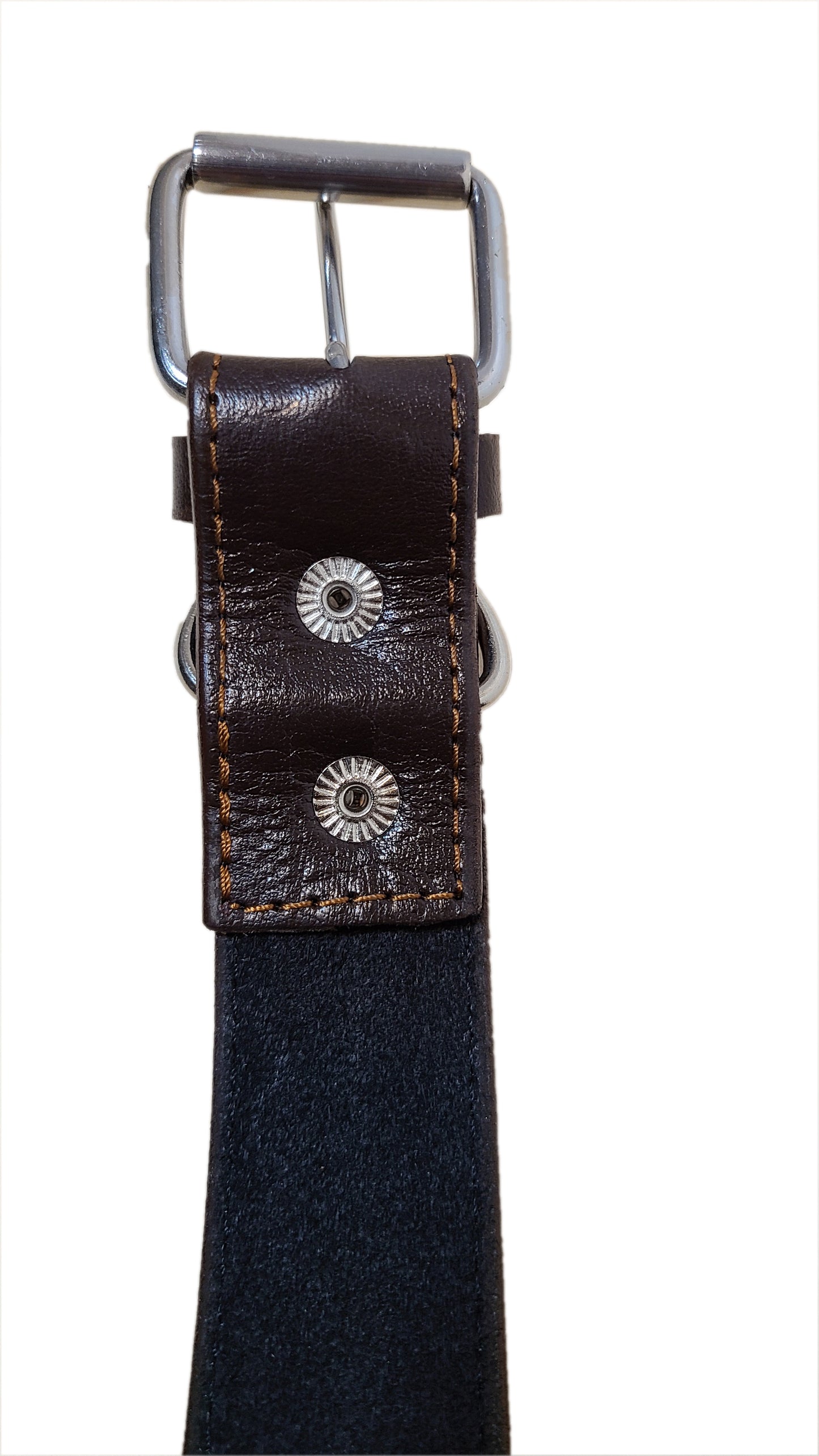 Leather Dog Collar - Steel rivet